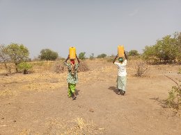 bislang gibt es kaum Grün im Sahel